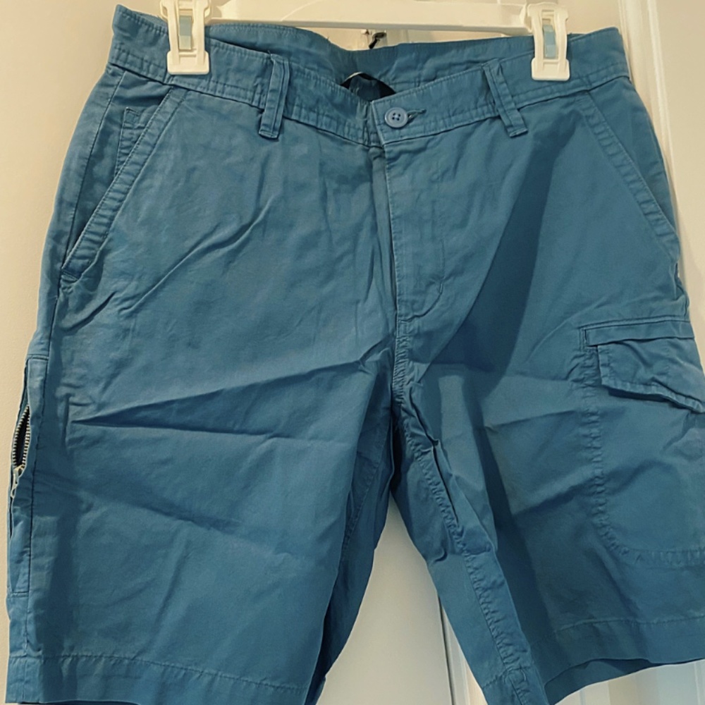 Blue Men's Lands End Shorts